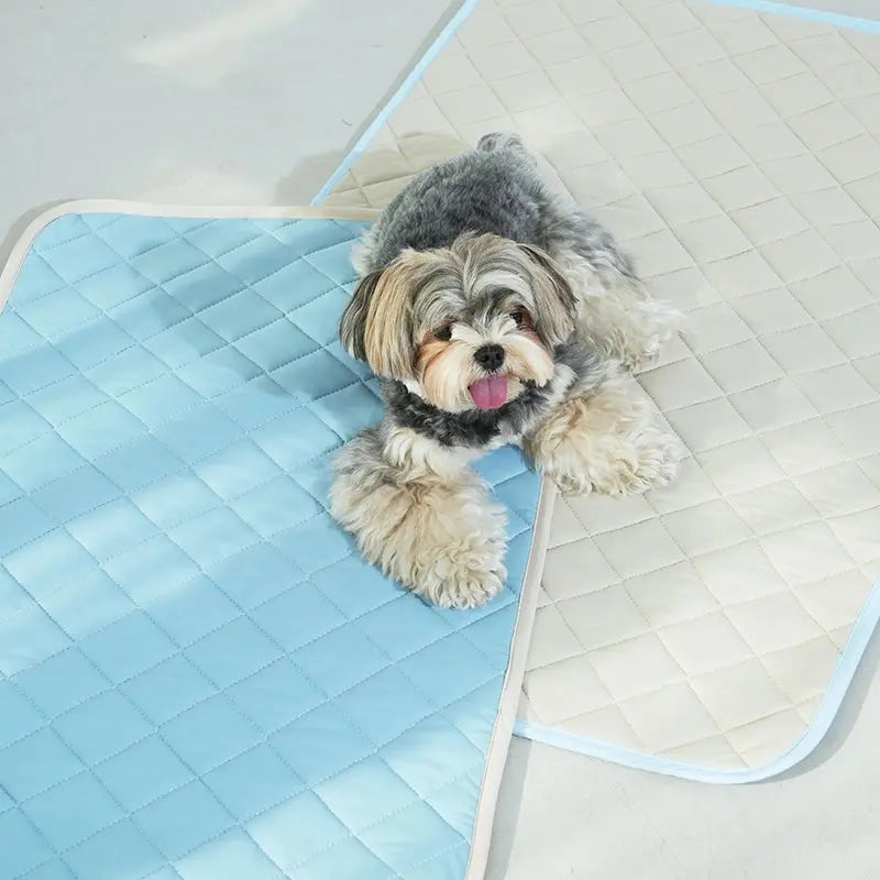 PUPPY GALLERY - Tapis rafraîchissant aéré pour animaux de compagnie PUPPY GALERY