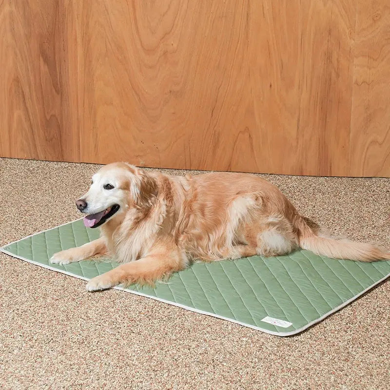 PUPPY GALLERY - Tapis rafraîchissant aéré pour animaux de compagnie PUPPY GALERY