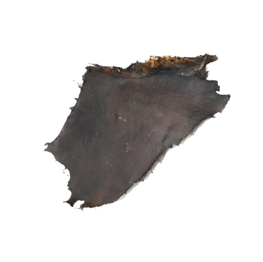 Plaque de Cerf DOG & CAT ETOILES