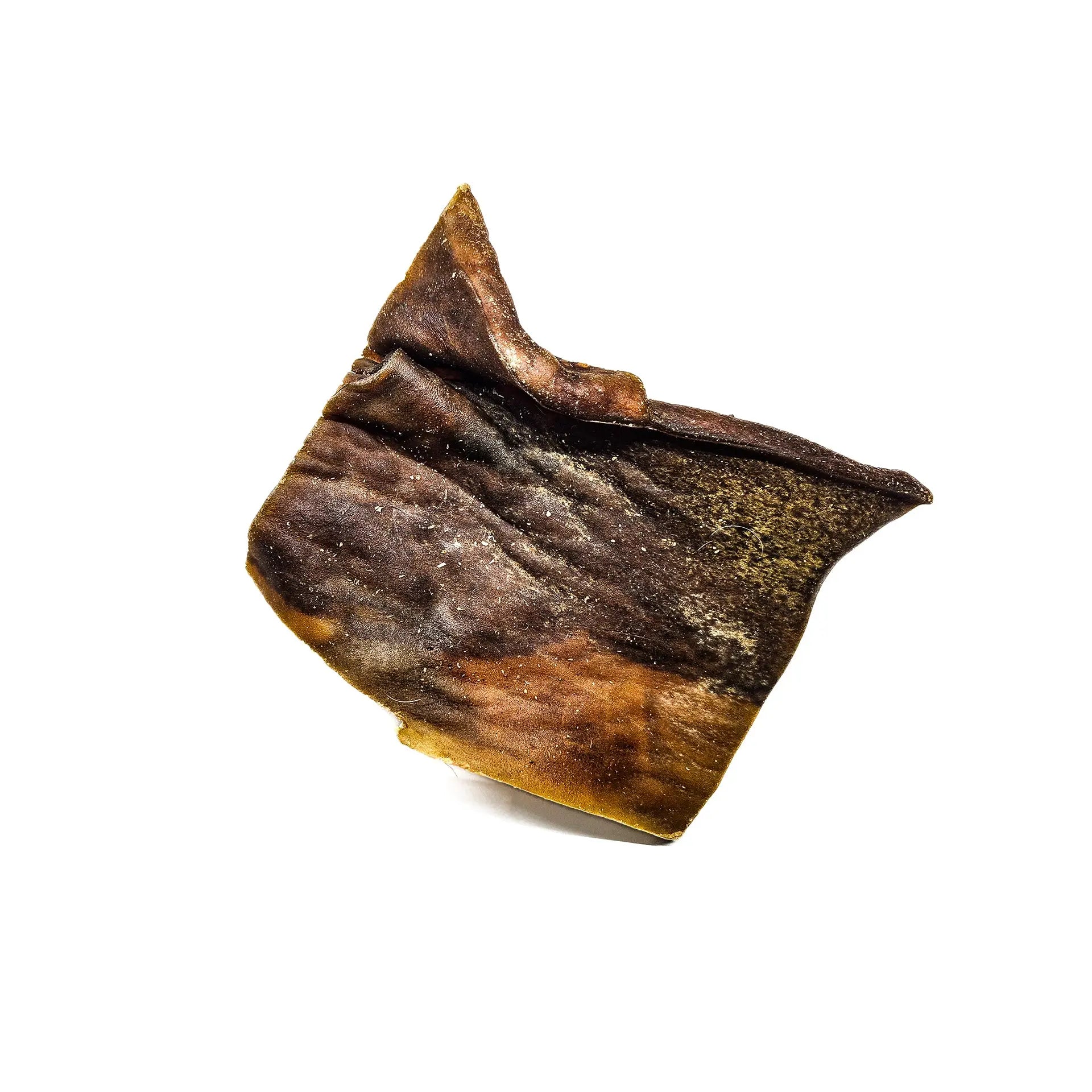 Plaque de chameau XL DOG & CAT ETOILES