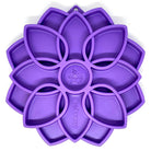 Plateau enrichissement – Mandala SODAPUP