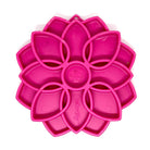 Plateau enrichissement – Mandala SODAPUP