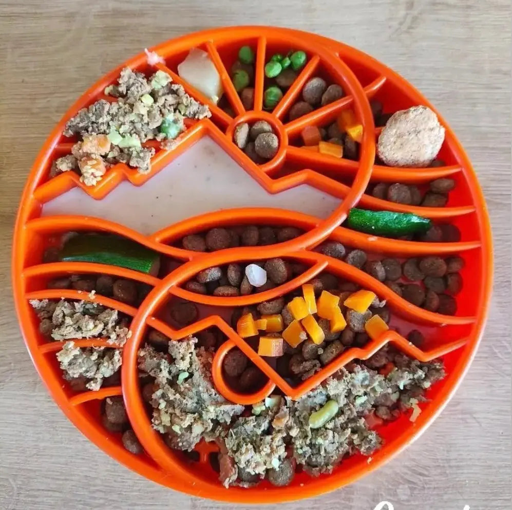 Plateau enrichissement – Yin Yang SODAPUP