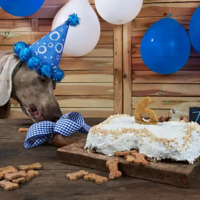 Préparation de gâteau au Poulet - Cooka's Cookies COOKA'S COOKIES