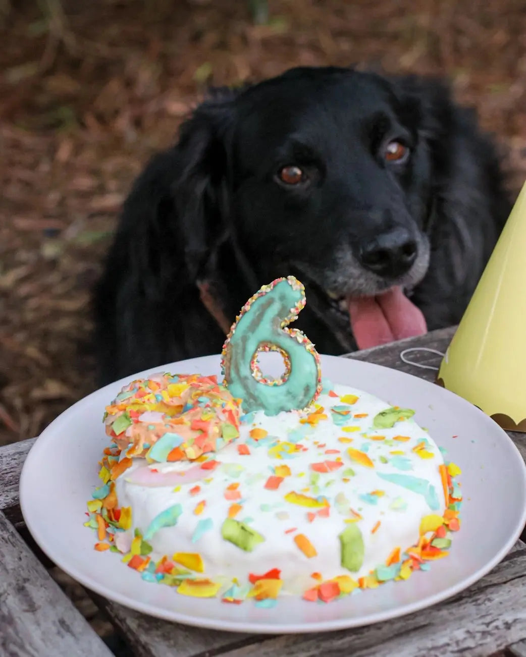 Préparation de gâteau au Poulet - Cooka's Cookies COOKA'S COOKIES