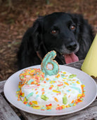 Préparation de gâteau au Poulet - Cooka's Cookies COOKA'S COOKIES