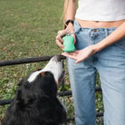 SPRINGLAND - Pochette à friandises en silicone pour chien SPRINGLAND