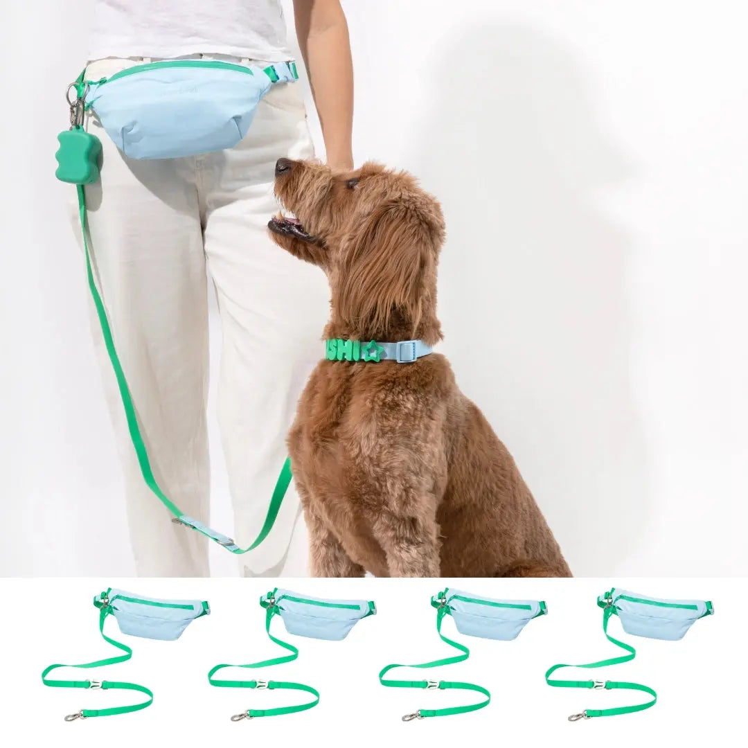 SPRINGLAND - Sac banane + laisse mains libres SPRINGLAND