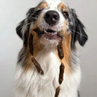 Salami de dinde - Friandises pour chiens - Cooka's Cookies COOKA'S COOKIES