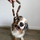 Salami de dinde - Friandises pour chiens - Cooka's Cookies COOKA'S COOKIES