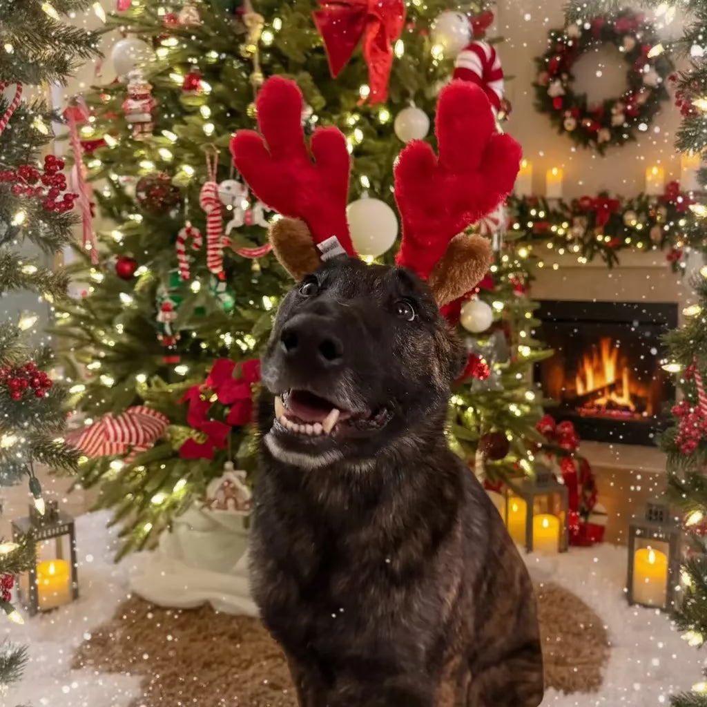 Serre tête de Noël - Zippy Paws ZIPPYPAWS