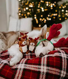 Serre tête de Noël - Zippy Paws ZIPPYPAWS