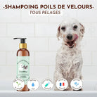 Shampoing liquide Poils de Velours DEXTER & MANGO