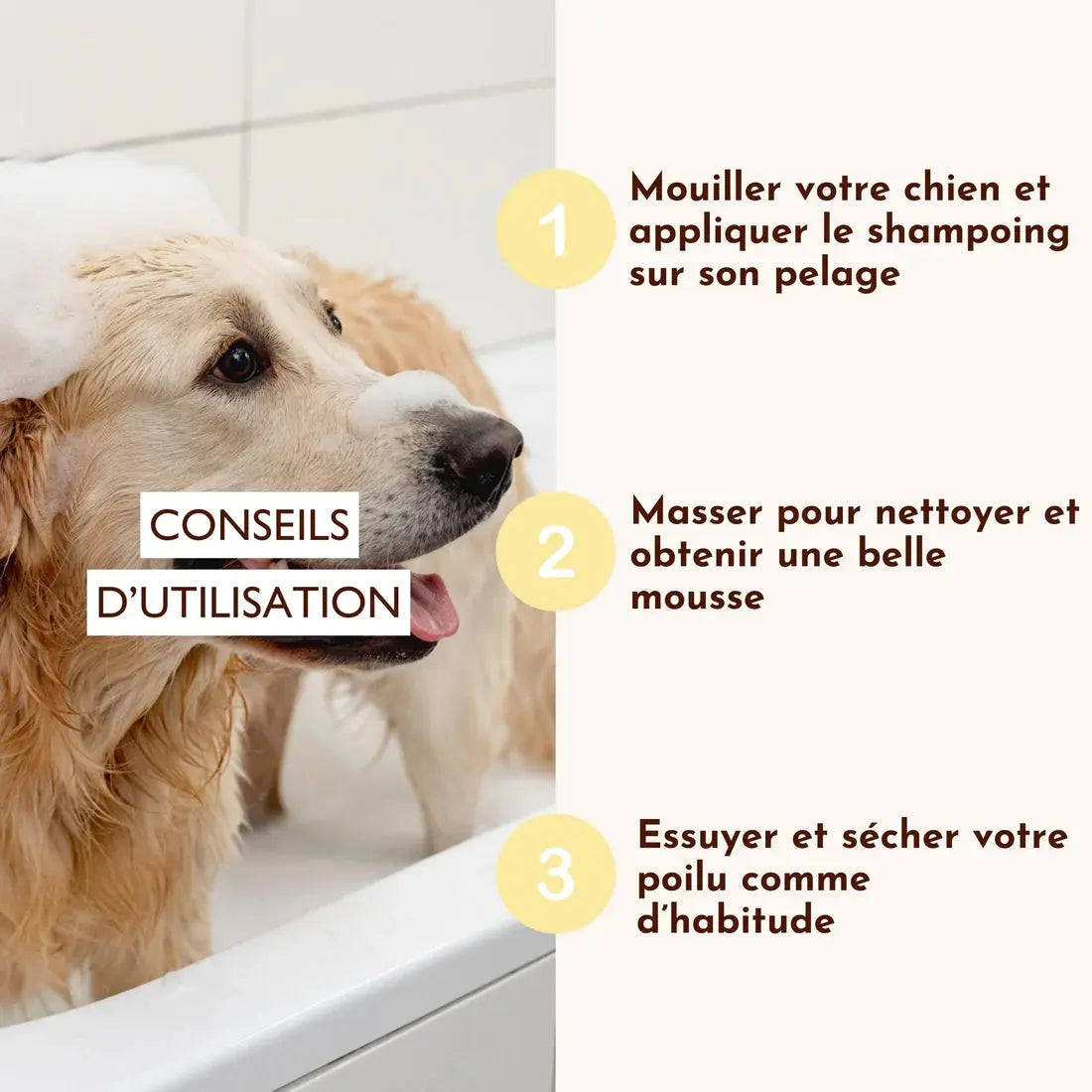 Shampoing liquide Poils de Velours DEXTER & MANGO