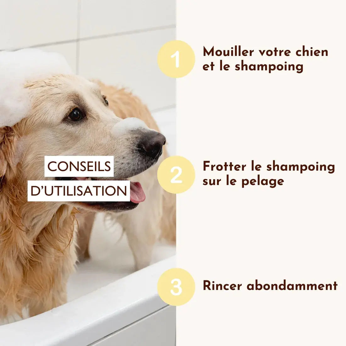 Shampoing solide antiparasitaire, Sauve-qui-peut ! DEXTER & MANGO