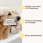 Shampoing solide antiparasitaire, Sauve-qui-peut ! DEXTER & MANGO