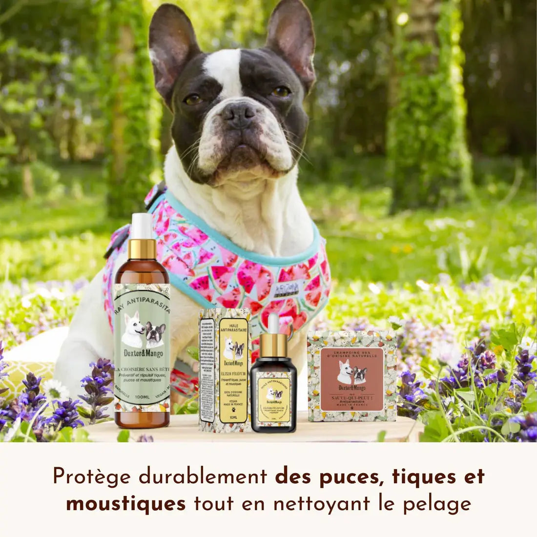 Shampoing solide antiparasitaire, Sauve-qui-peut ! DEXTER & MANGO