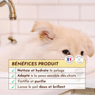 Shampoing solide pour chiot - P'tit mousse DEXTER & MANGO