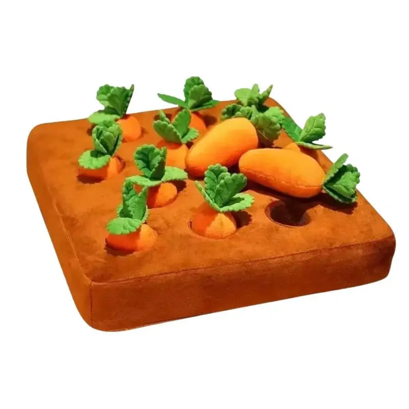 Tapis de fouille - Carotte "Croque fouille" DUVOPLUS