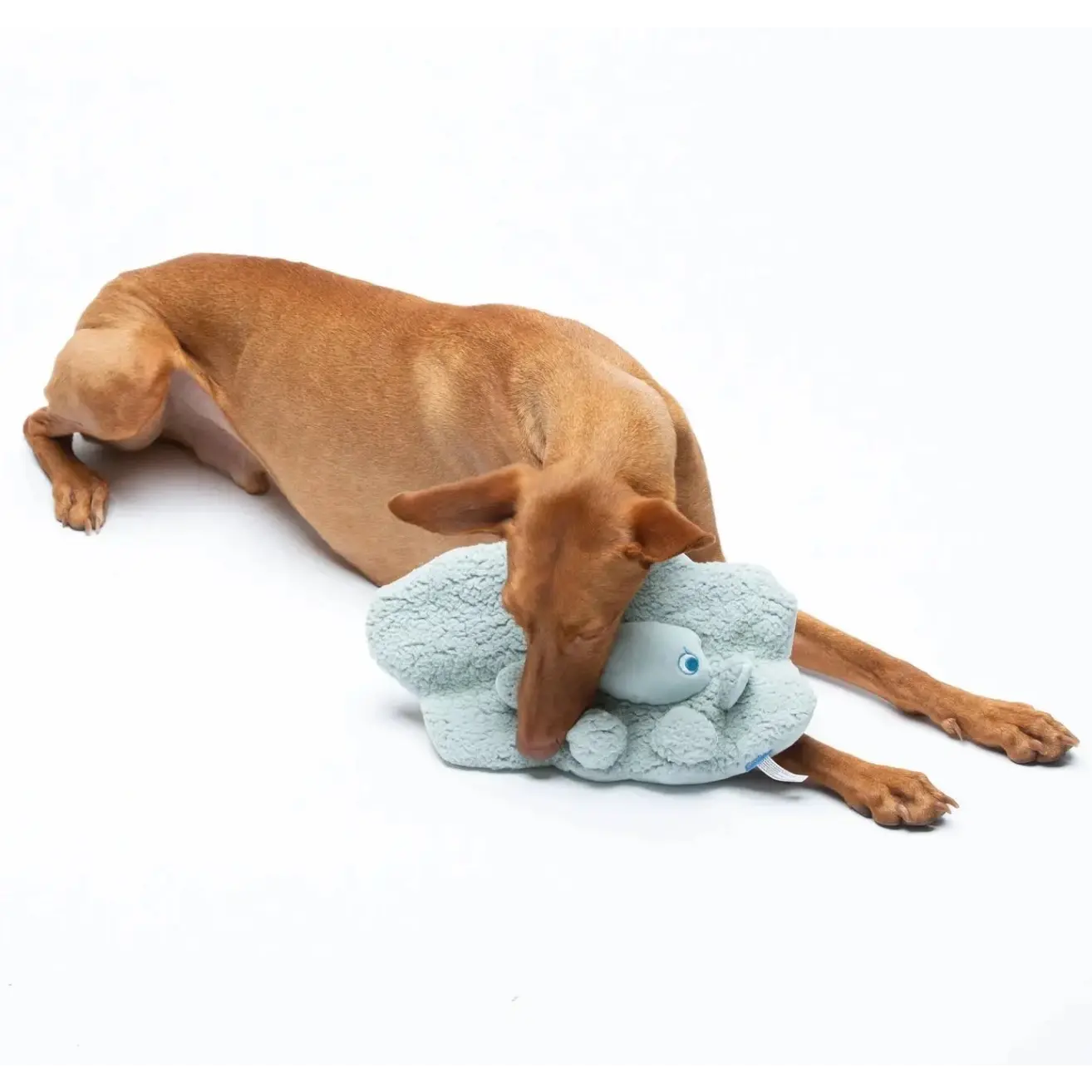 UNITED PETS - Peluche apaisante AromaStories UNITED PETS