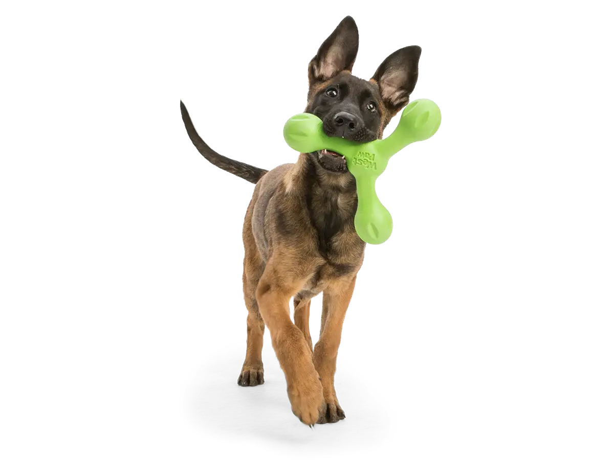 WEST PAW - Skamp WEST PAW