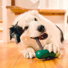 WOOF - BullySafe - Support de Mastication Sécurisé pour Chien WOOF