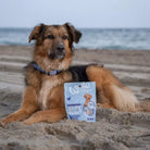 WOW - Cubes de friandises Poulet & Panais - Chien WOW