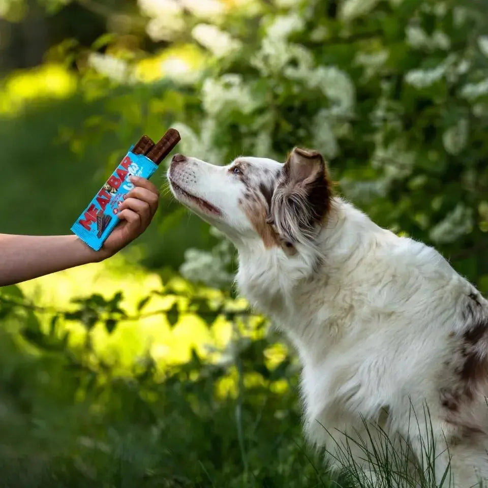 WOW -  Meat Bar Poulet pour chien WOW