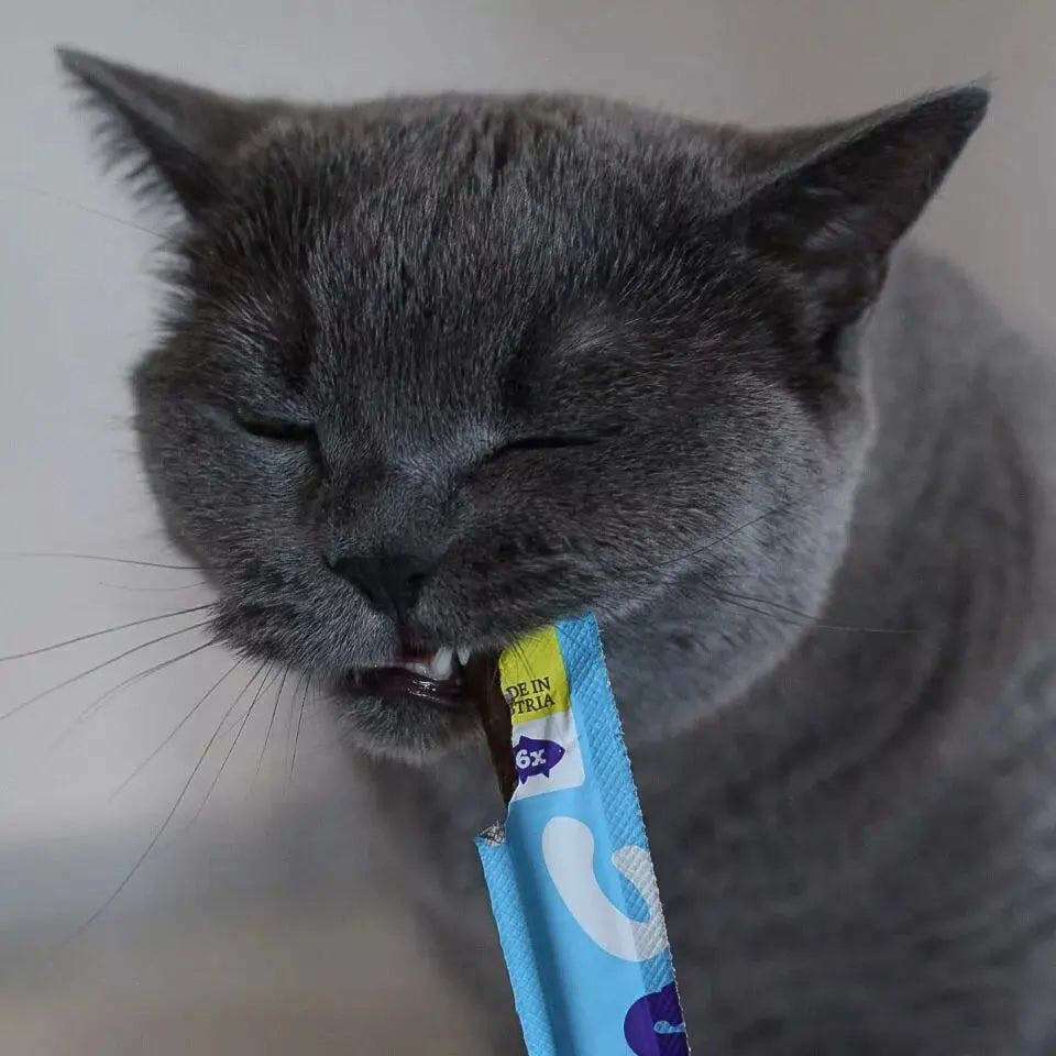 WOW - Soft Sticks pour chat WOW