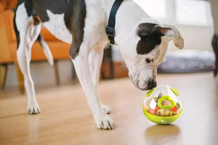 Wobble Ball – Jouet distributeur de friandises PET PLAY