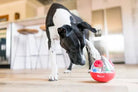 Wobble Ball – Jouet distributeur de friandises PET PLAY