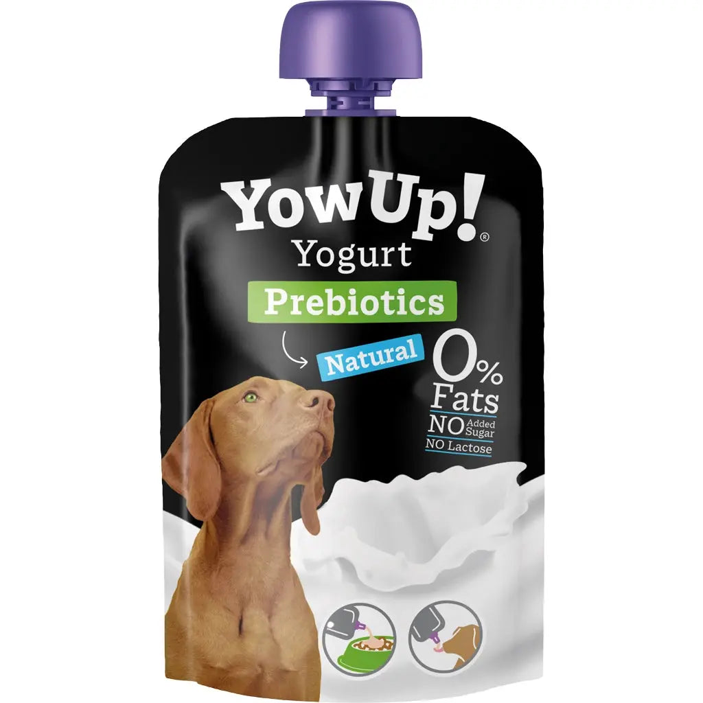 Yaourt à boire prébiotiques naturels YOW UP!