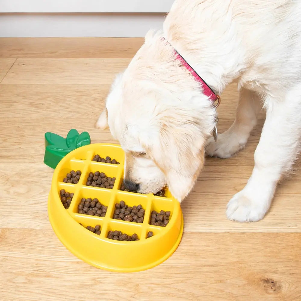 ZIPPYPAWS - Gamelle Anti-Glouton Ananas ZIPPYPAWS